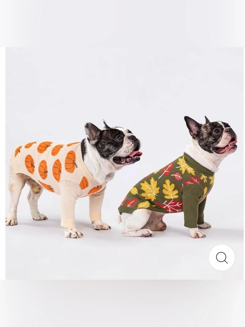 🎃PUMPKIN Dog Sweater - Antique Cream & Orange Knit Fall Pet Pullover